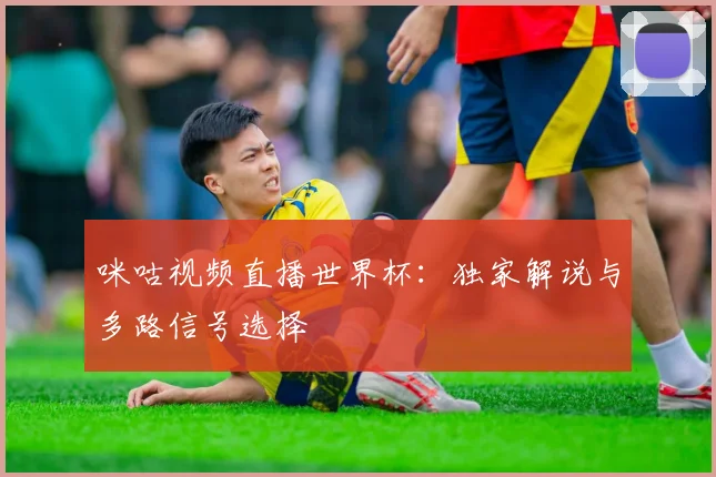 咪咕视频直播世界杯：独家解说与多路信号选择