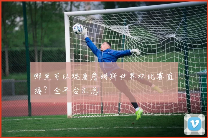 哪里可以观看詹姆斯世界杯比赛直播？全平台汇总