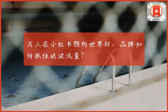 万人在小红书预约世界杯，品牌如何抓住这波流量？
