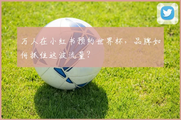 万人在小红书预约世界杯，品牌如何抓住这波流量？